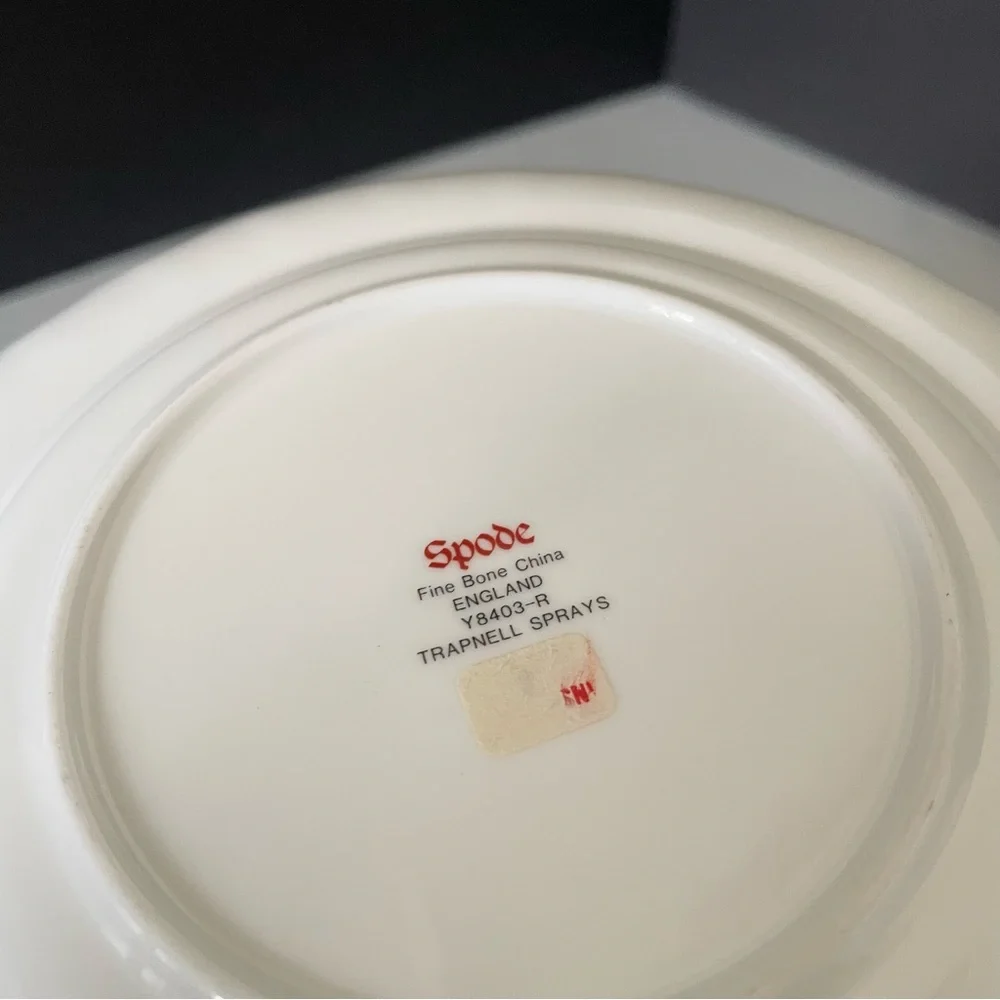 Trapnell Sprays Salad & Bread Plates by Spode